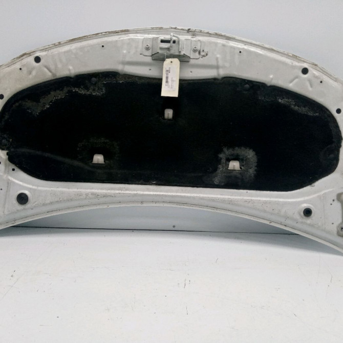 Capot occasion RENAULT CLIO III Phase 2 03-2009->12-2014 1.5 DCI 75ch 7751476113 2