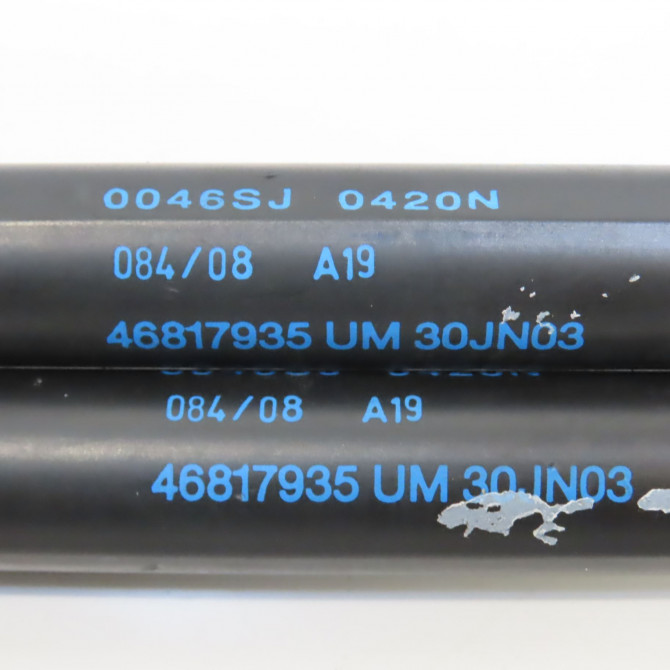 Verin droit hayon occasion LANCIA Y III 46817935 2