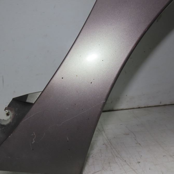 Aile avant droite occasion RENAULT SCENIC I Phase 2 08-1999->06-2003 1.6i 107ch 7751474882 3