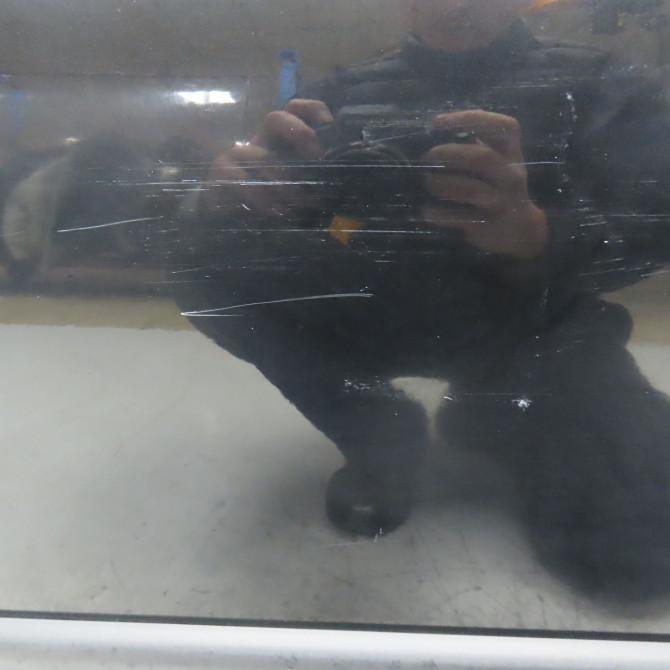 Porte avant gauche occasion CITROEN C1 I Phase 1 06-2005->11-2008 1.4 HDi 1612543280 2