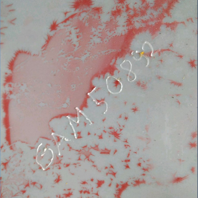 Pare-choc arrière occasion PEUGEOT 207 Phase 1 04-2006->06-2013 1.6 HDI 90ch 7410EH 7