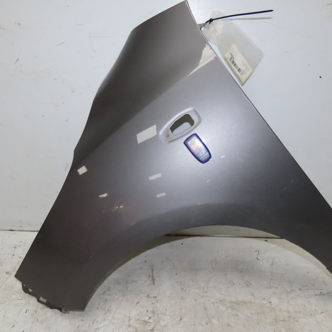 Aile avant gauche occasion HYUNDAI I 10 I Phase 1 03-2008->12-2010 1.2i 663110X300 1
