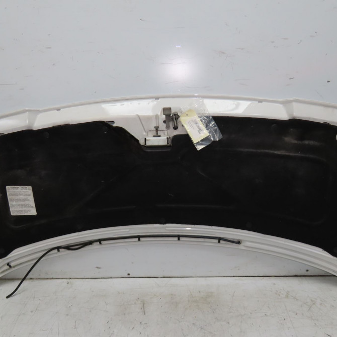 Capot occasion PEUGEOT EXPERT I Phase 2 01-2004->12-2006 2.0 HDI 95ch 7901K8 2