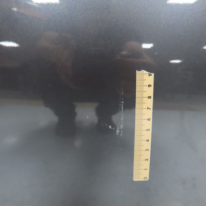 Porte avant droite occasion B.M.W. SERIE 3 V Phase 1 03-2005->09-2008 41517200570 3