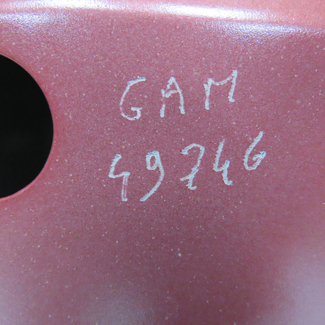 Porte arrière gauche occasion  821012255R 7