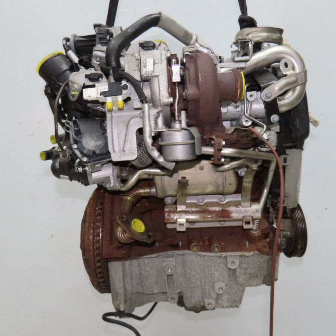 Moteur diesel occasion NISSAN JUKE Phase 2 03-2014->... 1.5 DCI 110ch 1010201Q3B 4