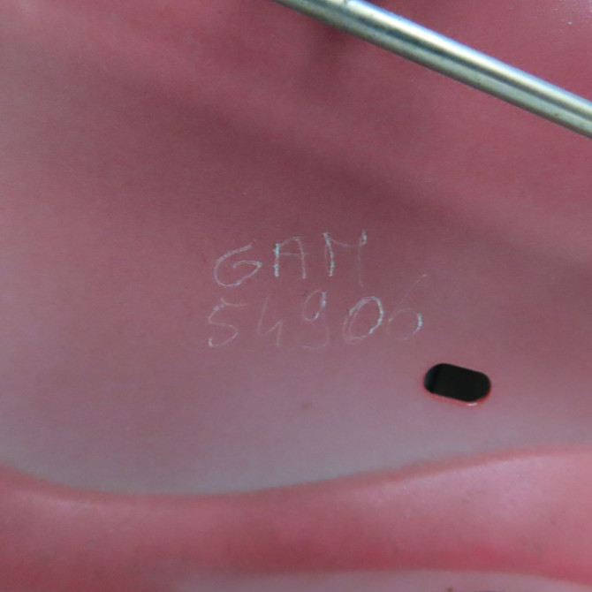 Porte arrière gauche occasion DACIA SANDERO I Phase 1 06-2008->10-2012 1.4 MPI 75ch 821012255R 3