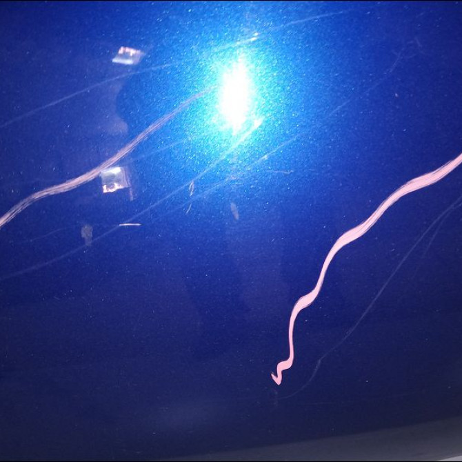 Hayon occasion RENAULT TWINGO II Phase 1 06-2007->11-2011 1.2i 16v 75ch 901004681R 2