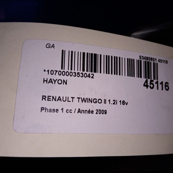 Hayon occasion RENAULT TWINGO II Phase 1 06-2007->11-2011 1.2i 16v 75ch 901004681R 3