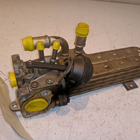 Vanne EGR occasion SEAT LEON II Phase 1 09-2005->05-2009 2.0 TDI 140ch 38131501AN