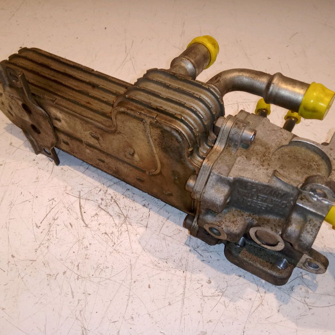 Vanne EGR occasion SEAT LEON II Phase 1 09-2005->05-2009 2.0 TDI 140ch 38131501AN 2