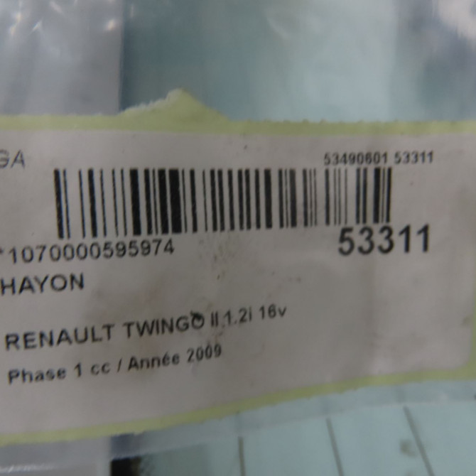 Hayon occasion RENAULT TWINGO II Phase 1 06-2007->11-2011 1.2i 16v 75ch 901004681R 5