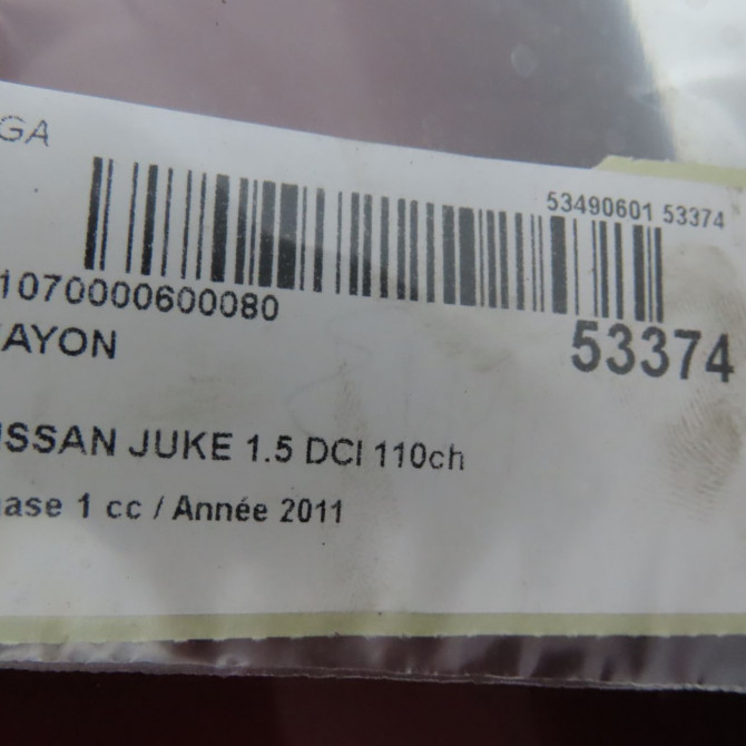 Hayon occasion NISSAN JUKE Phase 1 09-2010->... 1.5 DCI 110ch K01001KAAE 7