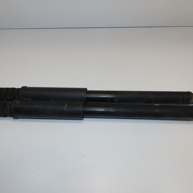 Amortisseur arrière droit occasion DACIA LOGAN I Phase 1 06-2005->06-2008 1.5 DCI 70ch 6001549248 1