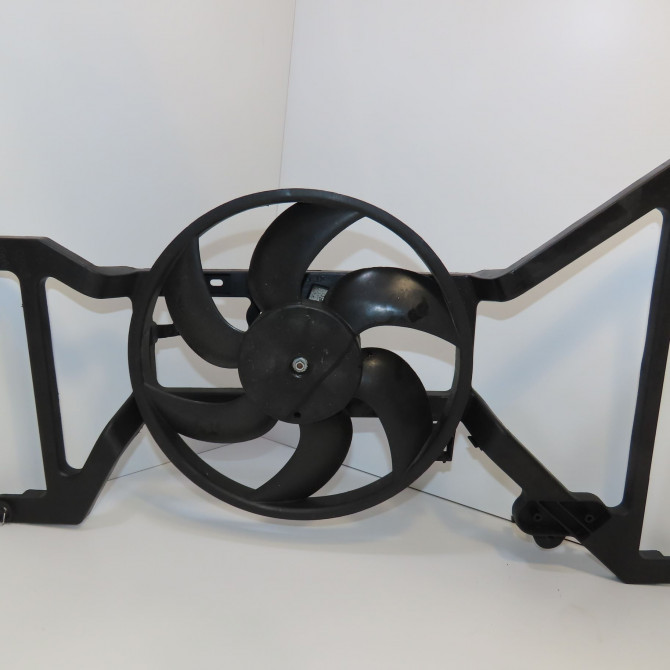 Ventilateur de refroidissement occasion  214812180R 1