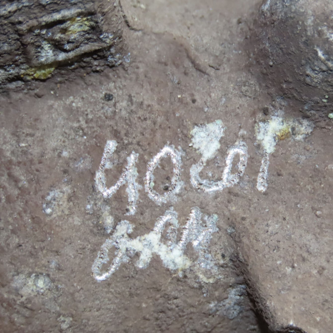 Etrier de frein arrière gauche occasion SKODA OCTAVIA II Phase 1 06-2004->10-2008 1.9 TDI 105ch 1K0615423M 5