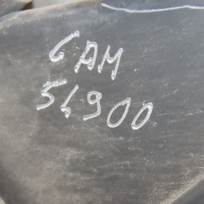 Phare droit occasion FIAT SCUDO II Phase 1 04-2007->... 1.6 DT 90ch 1401367980 5