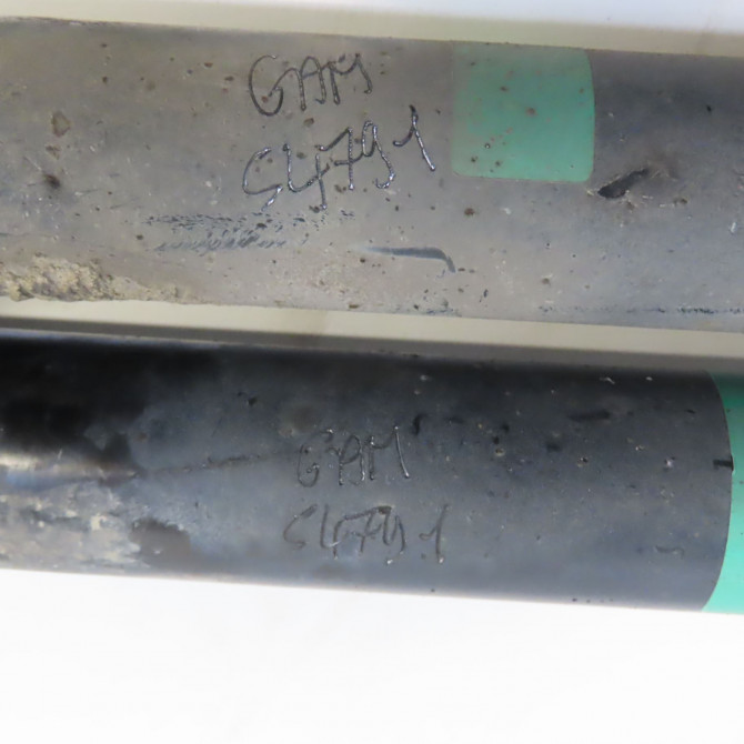 Amortisseur arrière droit occasion RENAULT TWINGO III Phase 1 06-2014->... 1.0 SCE 12v 70ch 562103074R 2