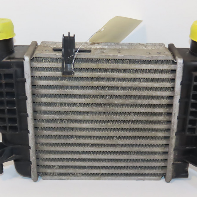 Echangeur air occasion RENAULT CLIO III Phase 1 09-2005->03-2009 1.5 DCI 70ch 8200471888 2