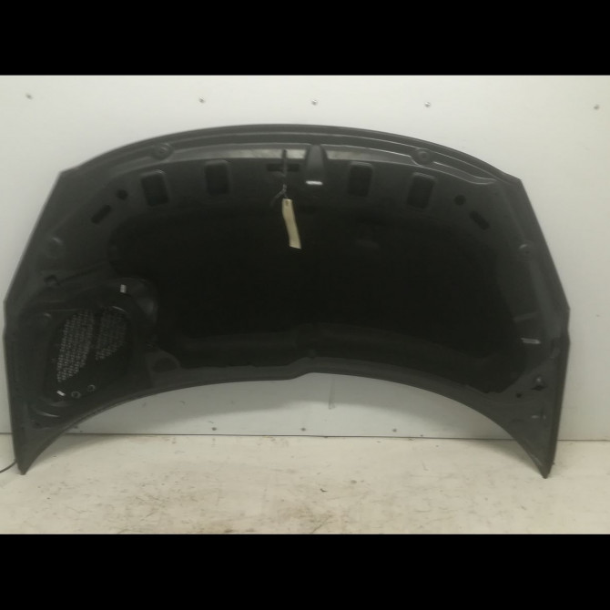 Capot occasion PEUGEOT 206 + Phase 1 03-2009->05-2013 1.4 HDI 70ch 7901R5 2