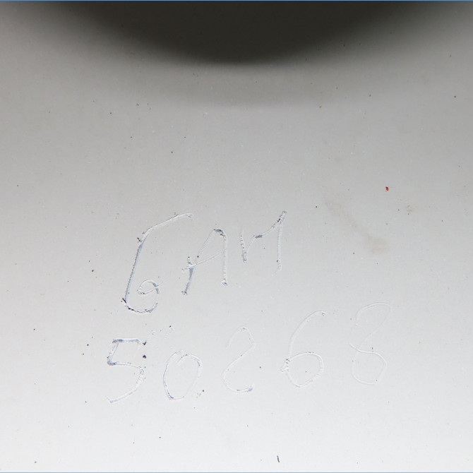 Capot occasion  664000X020 3