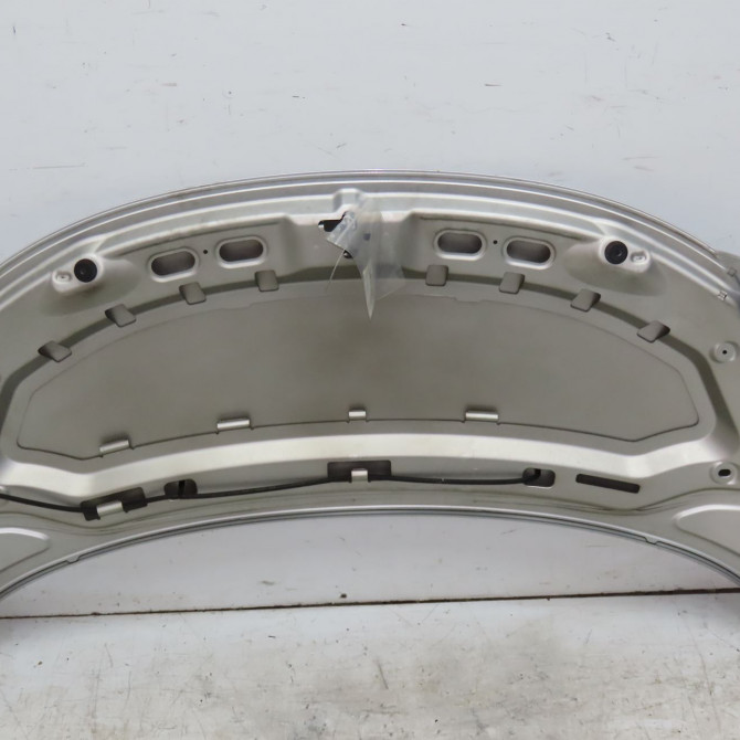 Capot occasion PEUGEOT 207 Phase 1 04-2006->06-2013 1.4 HDI 70ch 7901N2 2