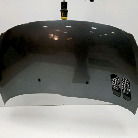 Capot occasion PEUGEOT 206 + Phase 1 03-2009->05-2013 1.1i 60ch 7901R5