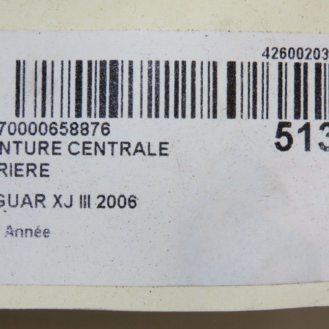 Ceinture centrale arriere occasion JAGUAR XJ III C2C39894AMB 6
