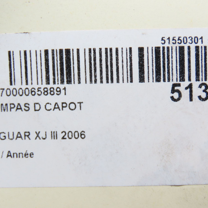 Compas d capot occasion JAGUAR XJ III C2C36084 5