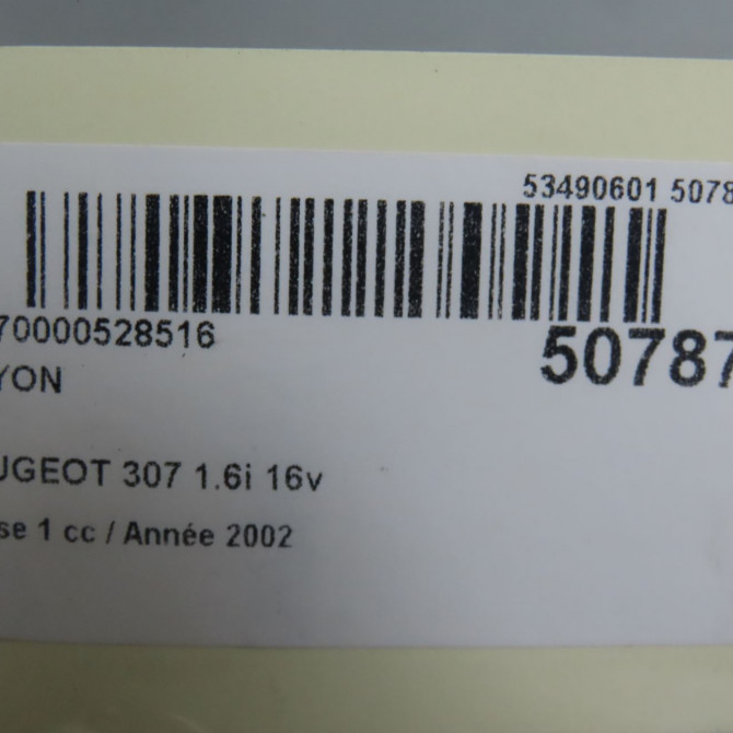 Hayon occasion PEUGEOT 307 Phase 1 04-2001->06-2005 1.6i 16v 6