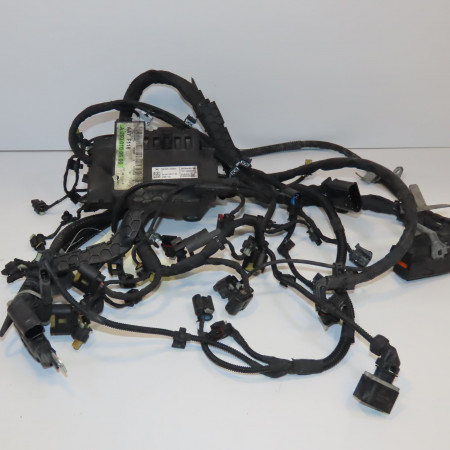 <span class="tt">Faisceau moteur occasion  </span><span class="designation"> </span>