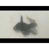 MOTEUR ESSUIE-GLACE AR
