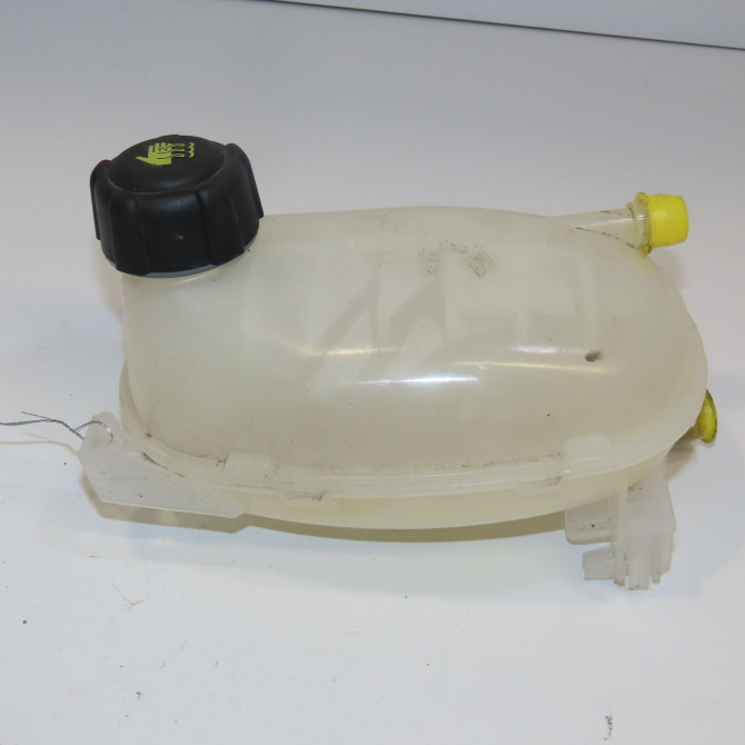 Vase expansion occasion  217108864R 1