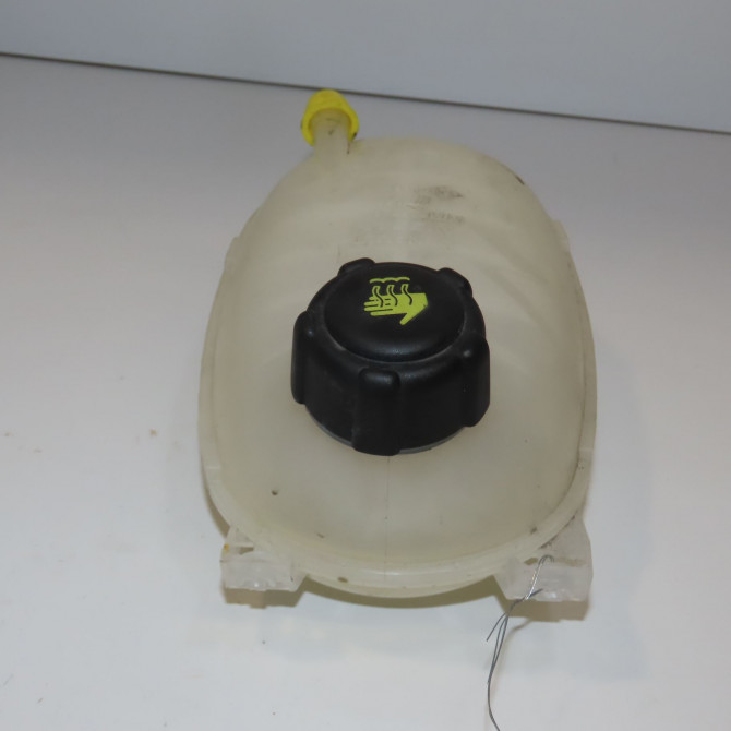 Vase expansion occasion  217108864R 3