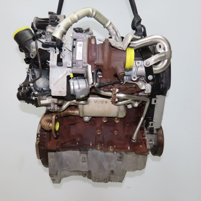 Moteur diesel occasion NISSAN NOTE II Phase 1 09-2013->... 1.5DCI 90ch 1010201Q0JRE 3