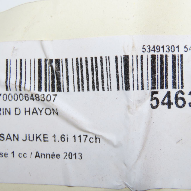 Verin droit hayon occasion NISSAN JUKE Phase 1 09-2010->... 1.6i 117ch 904501KA2C 5
