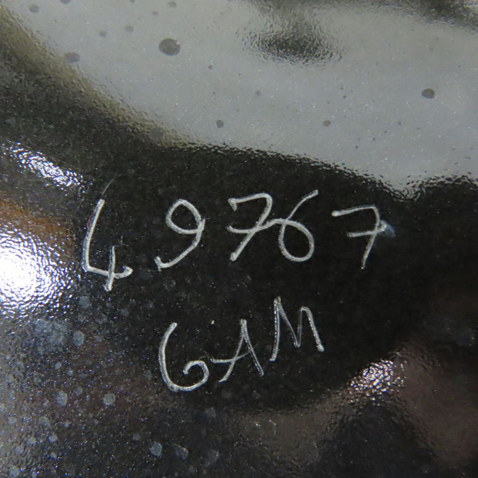 Porte avant gauche occasion FORD S-MAX I phase 2 03-2010->12-2015 1727507 4