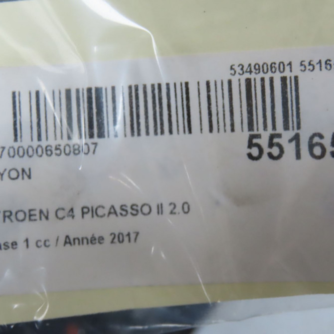 Hayon occasion CITROEN C4 PICASSO II Phase 1 04-2013->... 2.0 BlueHDi 150ch 1609402680 6