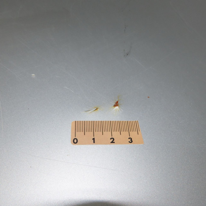 Coffre arrière occasion MERCEDES 190 I Phase 2 09-1988->06-1993 190 E 2.0 4