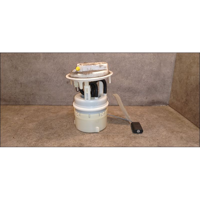 Pompe à carburant immergée occasion PEUGEOT 206 + Phase 1 03-2009->05-2013 1.4i 75ch 1525Y1 1