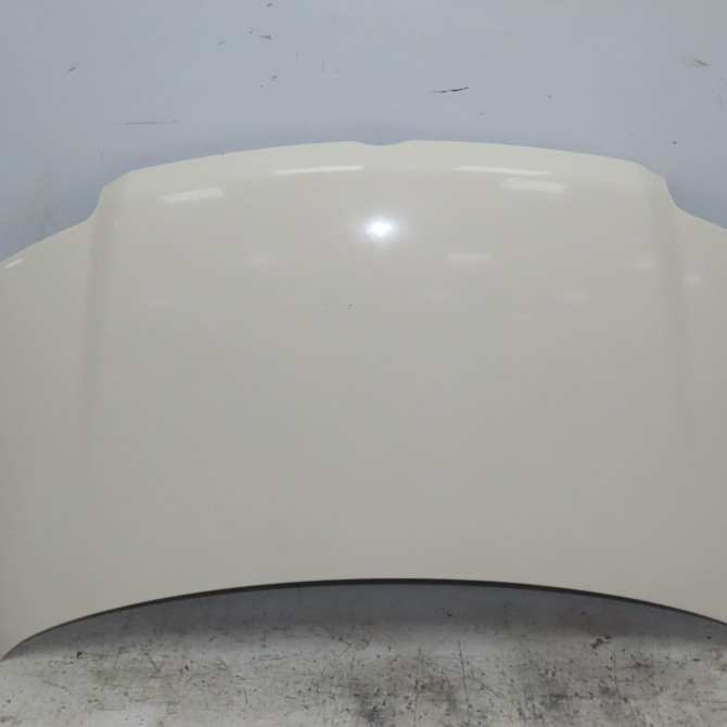 Capot occasion FIAT PANDA II Phase 1 09-2003->12-2012 1.3 JTD 16v 75ch 51876323 1