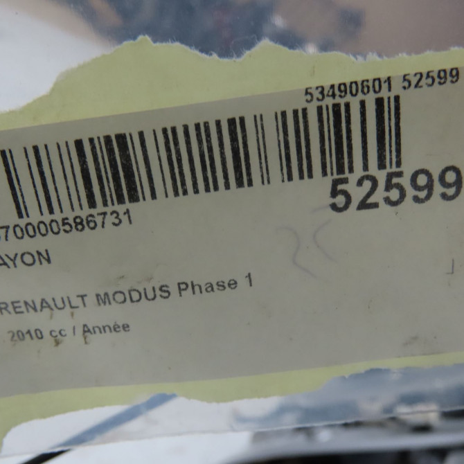 Hayon occasion RENAULT MODUS Phase 1 09-2004->12-2007 901005417R 6
