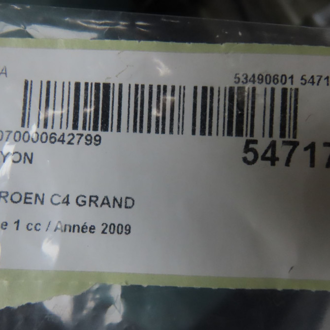 Hayon occasion CITROEN C4 GRAND PICASSO I Phase 1 10-2006->09-2013 2.0 HDI 138 ch 8701W7 5
