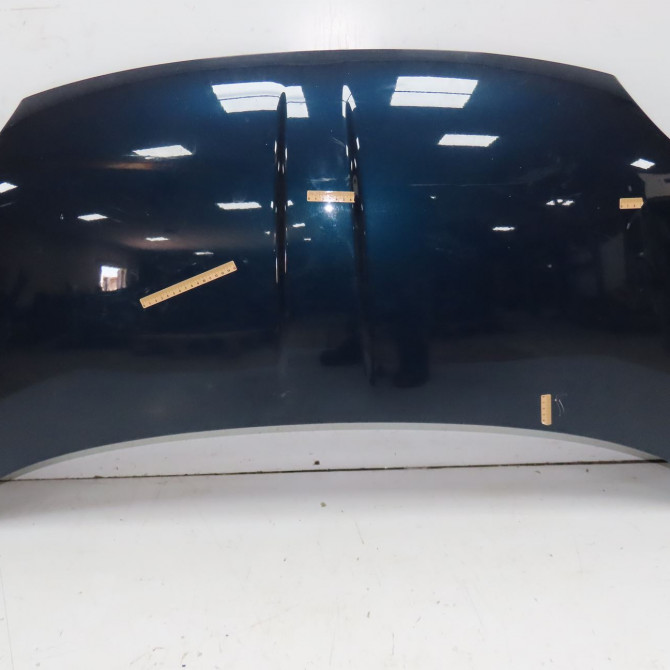 Capot occasion FIAT 500 II phase 2 04-2014->... 1.2i 69ch 52009424 1