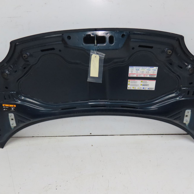 Capot occasion FIAT 500 II phase 2 04-2014->... 1.2i 69ch 52009424 8