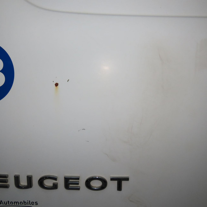 Porte battante arrière gauche occasion PEUGEOT EXPERT II Phase 1 01-2007->... 2.0 HDI 128ch 8702A1 4