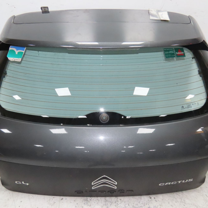 Hayon occasion  9800805380 1