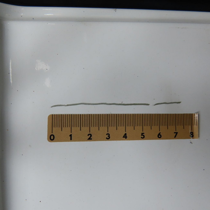 Porte battante arrière gauche occasion CITROEN JUMPY II Phase 1 01-2007->... 2.0 HDI 125ch 8702A1 3