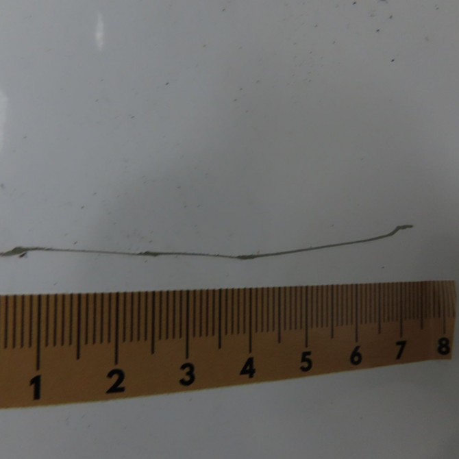 Porte battante arrière gauche occasion CITROEN JUMPY II Phase 1 01-2007->... 2.0 HDI 125ch 8702A1 4