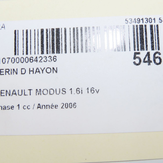 Verin droit hayon occasion RENAULT MODUS Phase 1 09-2004->12-2007 1.6i 16v 8200219323 5